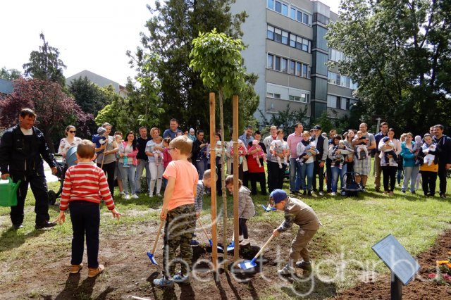 Életfát ültettünk 32